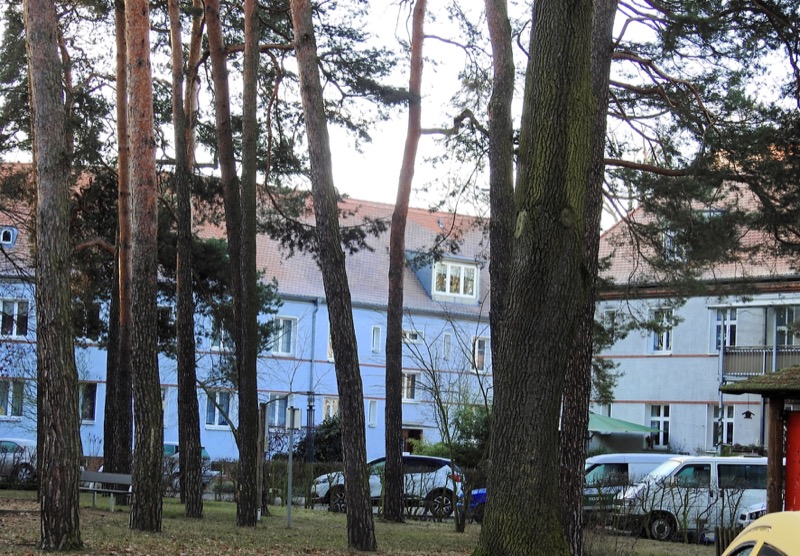 Fichtenwäldchen am Stadion