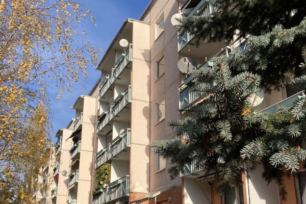 Mehrfamilienhaus mit Tanne