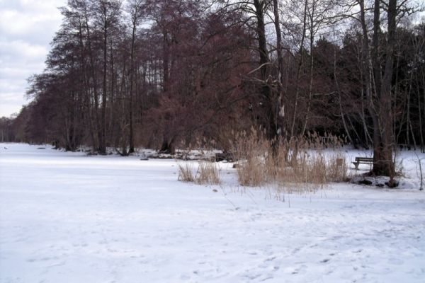 Wiese mit Schnee